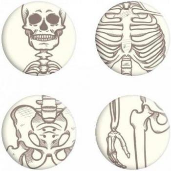 Set de badges osseux du squelette – 4 pièces