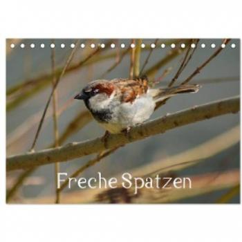 Freche Spatzen (Tischkalender 2024 DIN A5 quer) CALVENDO Monatskalender