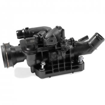 TM1406 Termostato Motore HEPU