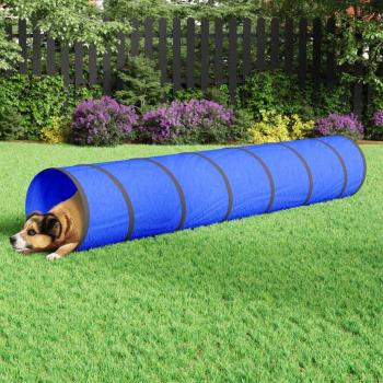 VidaXL Tunnel pour chien bleu Ø 50x300 cm polyester 172190