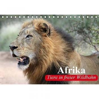 Afrika. Tiere in freier Wildbahn