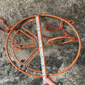Mangeoire pour oiseaux avec crochet de transport