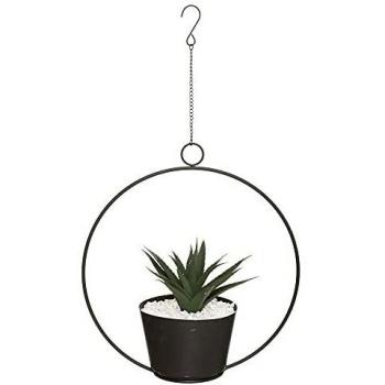 Plante d'intérieur - Cactus succulent - 29 cm - Ornée de feuilles