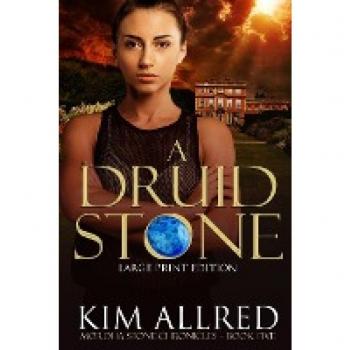 A Druid Stone Large Print
