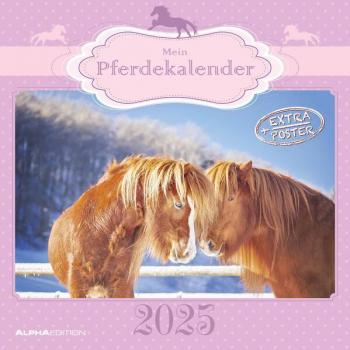 Alpha Edition - Mein Pferdekalender 2025 Broschürenkalender, 30x30cm