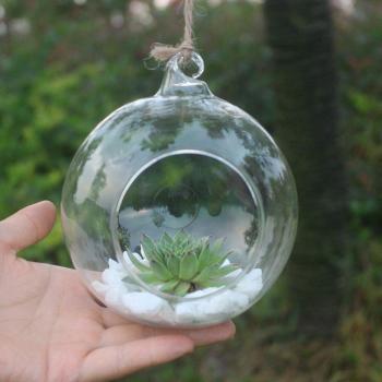 Clear Glass Hanging Flower Pot