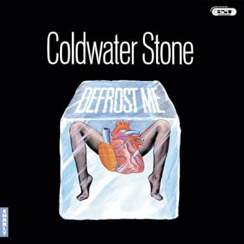FrostAway Transparent Vinyl