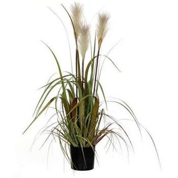 Plante décorative Foxtail Mica, herbe plumeuse – 80 × 45 cm – Blanc