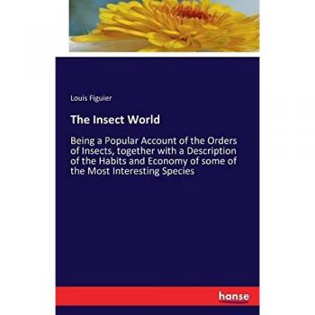 The Insect World