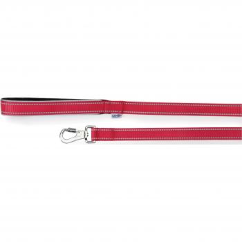 Guinzaglio Rosso 2,5x120cm con Maniglia in Neoprene e Cuciture Reflex