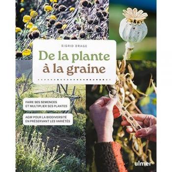 De la plante à la graine
