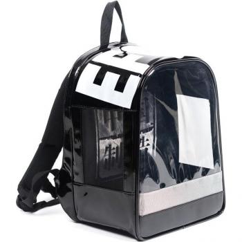Pet Out Carrying Bag