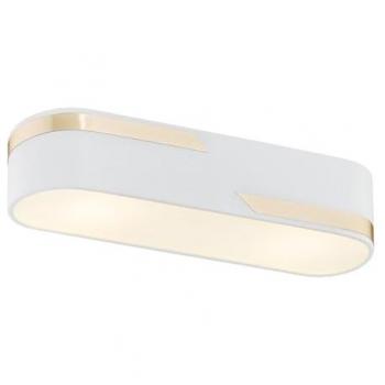Milky White Toni Downlight with Gold Strip – Surface Mount (50 cm)