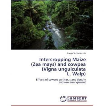 Intercropping Maize (Zea mays) and cowpea (Vigna unguiculata L. Walp): Effects of cowpea cultivar, stand density and row arrangement