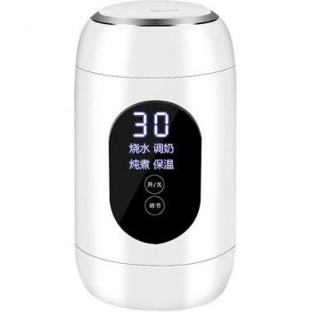 600ML Portable Electric Kettle