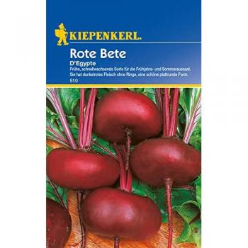Barbabietola Rossa d'Egitto Kiepenkerl
