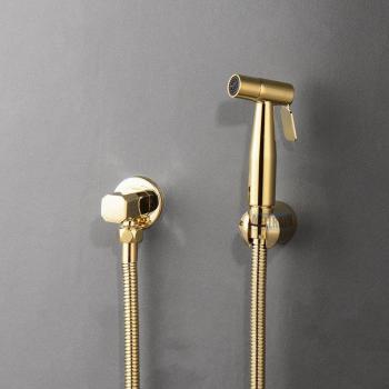 Wall Mounted Bidet Sprayer Shower with Shut-Off Valve - Black