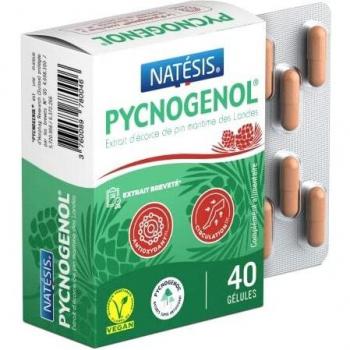 Natesis Pycnogenol Circulatoire - 40 Gélules - 40 mg d'Extrait d'Écorce de Pin des Landes - Teneur garantie en procyanidines 70 % - Adapté aux Végétariens et Végétaliens