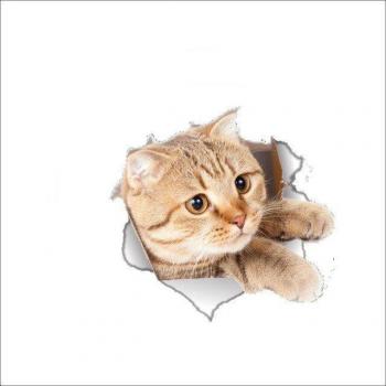 3D Cat Toilet Wall Decal