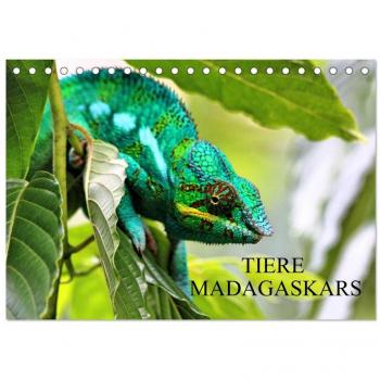 Tiere Madagaskars (Tischkalender 2025 DIN A5 quer) CALVENDO Monatskalender