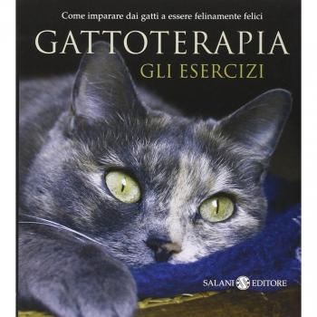 Gattoterapia