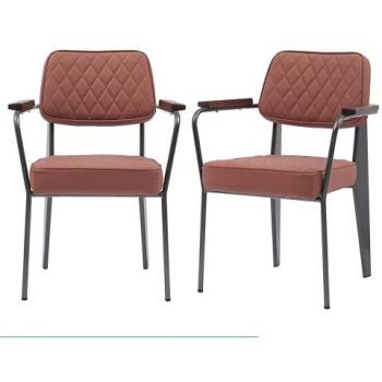 Elegant Retro Tan Dining Chairs Set of 2 with Wooden Arms