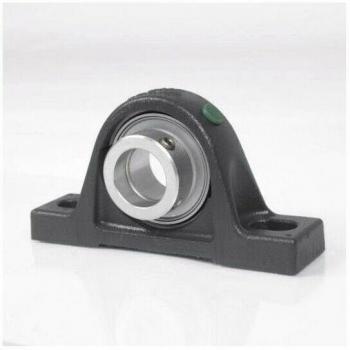 Unità di Alloggiamento del Plummer Block UCP305 – Viti Fissaggio 25 mm
