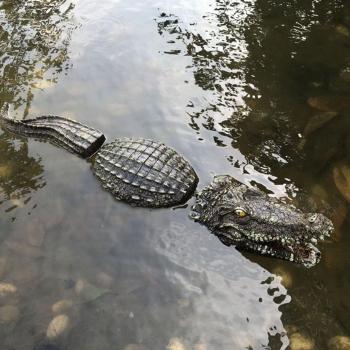 Señuelo de Cocodrillo Nado Lúdico