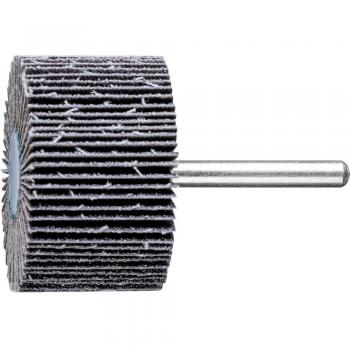 Pferd Fan Grinder F 5030/6 SIC 60 - Set of 10