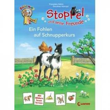 Ein Fohlen auf Schnupperkurs