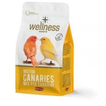 Wellness Mix per Canarini - Mangime per uccelli