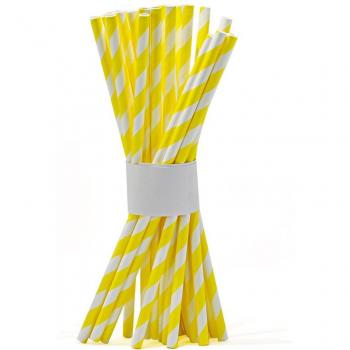 Eco-Friendly Striped Paper Straws - 100 Count