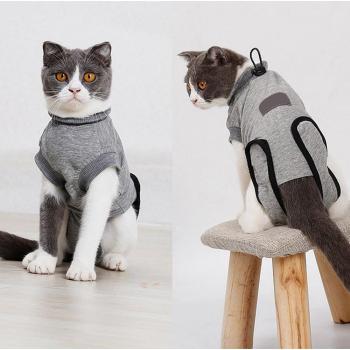 Tenue chirurgicale pour chiens et chats