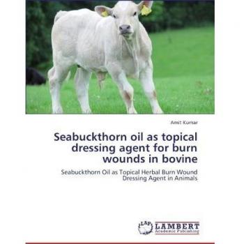 Seabuckthorn oil as topical dressing agent for burn wounds in bovine