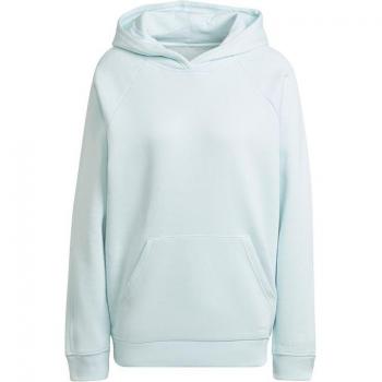 Adidas Damen Hoodie All Szn Fleece Blau