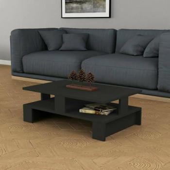 Eridanus Tavolino Basso Caffè Ripiano Divano 80x50 cm Antracite