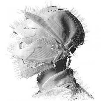 Vinyle LP L'Âge d'Or de Woodkid