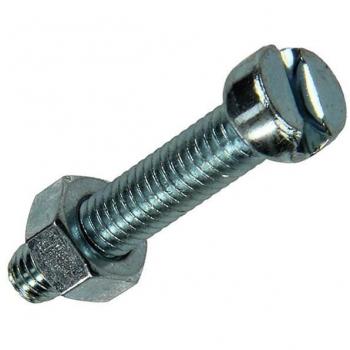 Metaalschroef verzinkt M6 x 40 mm met moer - 8 stuks