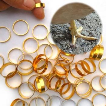 Bandas para Patas de Aves 500 Uds Anillos de Metal Clip para Palomas