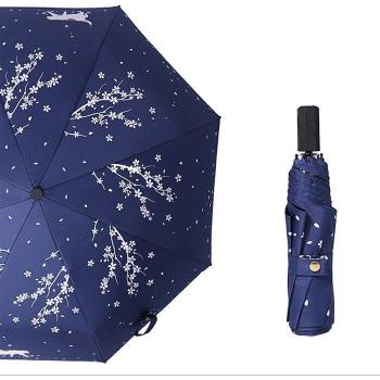 Folding Black Coated Women's Umbrella with Cherry Blossom Print