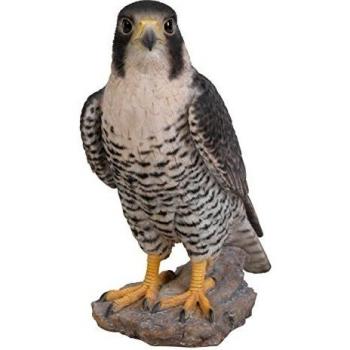 Falco pellegrino in resina 26 cm