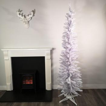 Ft (210cm) White Pencil Pine Christmas Tree with 401 Tips