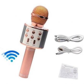 Wireless Karaoke Microphone