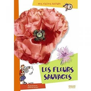 Petites bêtes
