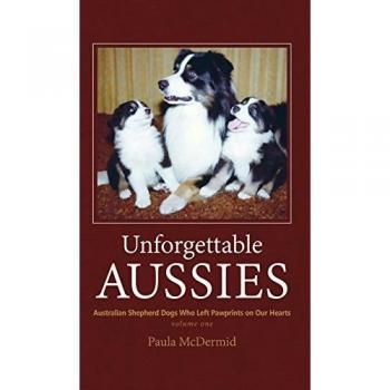 Unforgettable Aussies: Australian Shepherds Who Left Pawprints on Our Hearts