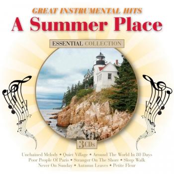 Summer Place: Great Instrumental Hits