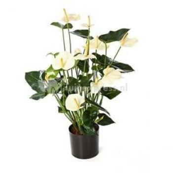 Anthurium cream bloem, kunstplant
