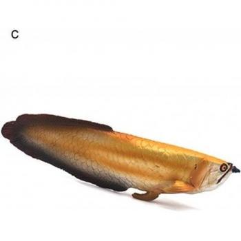 Children's Freshwater Sturgeon Arowana Model