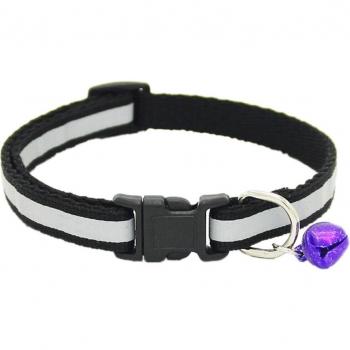Collier en chaîne pour chien