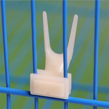 Parrot Fruit Fork Feeder for Small Birds